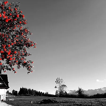 Bed & Breakfast Krzesanica